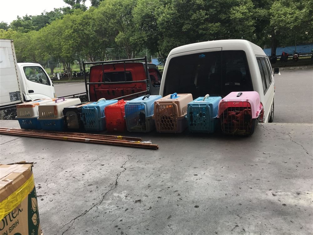 Cargo
