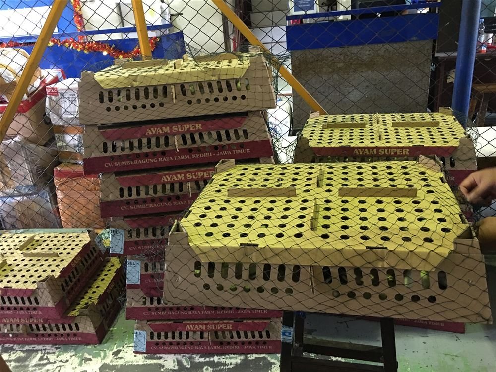 Cargo